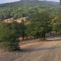 زمین برای ساخت ویلا در منطقه ای توریستی