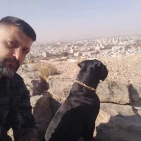 کین کورسو|سگ|خمین, |دیوار