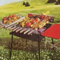 کباب پز دو کاره پلین نونو