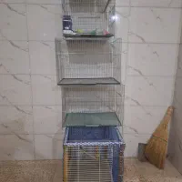 قفس پرنده نو