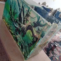 آکواریوم دست سازقیمت ۱میلیون|ماهی|آباده, |دیوار