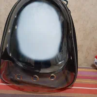 کیف حمل پرنده و پت