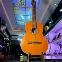 گیتار پارسی M5