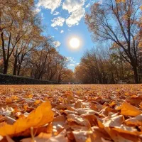 چهاردیواری باغی معاوضه با ماشین