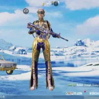 اکانت پابجی