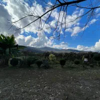 کارگر باغبان متاهل