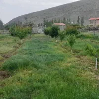 باغ در روستای هندور|فروش خانه و ویلا|ماکو, |دیوار