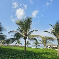 دامون-گیت-2خواب-شیک