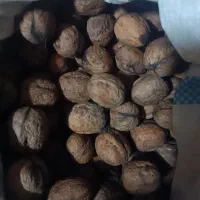 گردو و مغز گردو