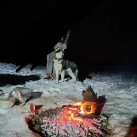 واگذاری هاسکی خونگی