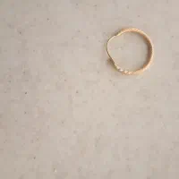 یک لنگ گوشواره گم شده