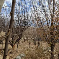 باغچه 700 متری دشت ارژن با درختان ثمری