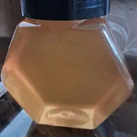 عسل بهاره تضمینی