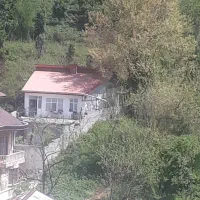 اجاره-ویلا-جنگلی