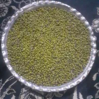 لوبیا و ماش|خوردنی و آشامیدنی|هلیلان, |دیوار