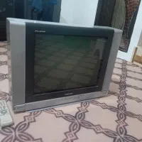 تلویزیون