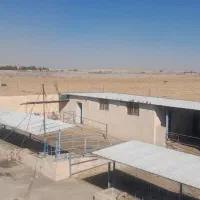 گاوداری به مساحت 5000 متر