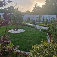 نیازمند ادمین حرفه ای برای اینستا و تلگرام