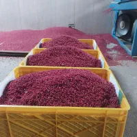 زرشک دانه اناری درجه یک اصل قاینات|عمدهفروشی|قائن, |دیوار