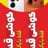 گوشی  فقط یا یک برگ چک صیادی