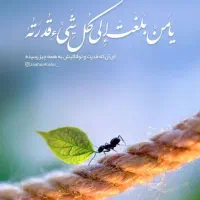 کیف پیدا شده