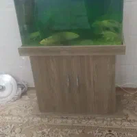 آکواریوم 80در 60با ماهی ودستگاهاش