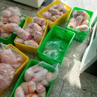 توزیع مرغ شمال|خوردنی و آشامیدنی|قم, پامنار|دیوار