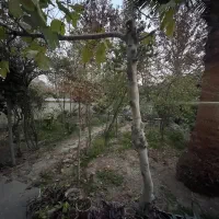 خانه-ویلایی-در-بهترین-لوکیشن-ویلاییای-شهرک