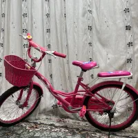 دوچرخه دخترانه سایز ۲۰