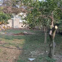 زمین کاربری مسکونی|فروش زمین و ملک کلنگی|ارطه, |دیوار