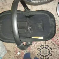 گریر بچه مارک چیکو در حد