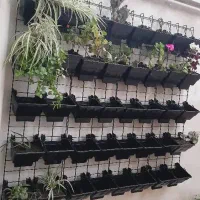 اجرای گلدان دیواری