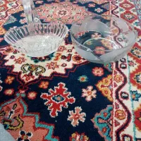 میوه خوری واجیل خوری درحدنوع