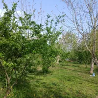 فروش-زمین-به-متراژ-1000-متر