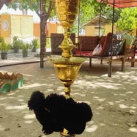 قلیان خلیل مامون