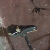 دوچرخه 20 حرفه ای