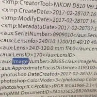 دوربین نیکون d810 با لنز ۲۴ ۱۲۰|دوربین عکاسی و فیلمبرداری|پاکدشت, پاکدشت (مامازند)|دیوار