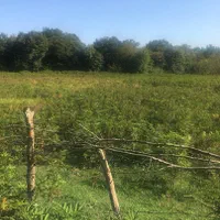 فروش زمین صنعتی شیرگاه 10000 متری