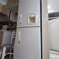 هانیزان اصل