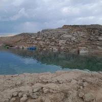 رحم اجاره ای