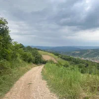 زمین ریکندع ویو ابدی