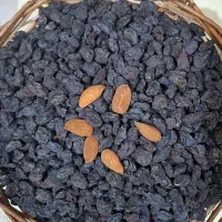 فروش کشمش ، مویز ، شیره انگور