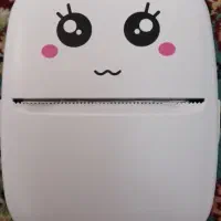 Mini Printer