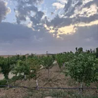 باغچه-احمد-اباد-مستوفی