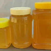 عسل پرتیکان