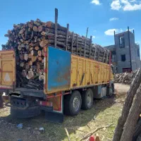 خرید‌چوب‌ودرخت‌کلی‌وجزی