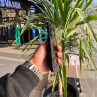 گوشی ردمی 13|موبایل|مشهد, شهید بصیر|دیوار