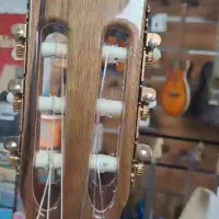 گیتار دست ساز Doris DS+|گیتار، بیس، امپلیفایر|میناب, |دیوار