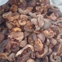 برگه طبیعی.تخمه افتاب گردان.نبات ملایر.گردوی همدان