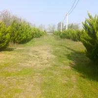 زمین شهرکی تک برگ سندفرصتی طلایی برای ساخت و ساز